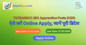 TGTRANSCO 250 Apprentice Posts 2026: ऐसे करें Online Apply, जानें पूरी डिटेल
